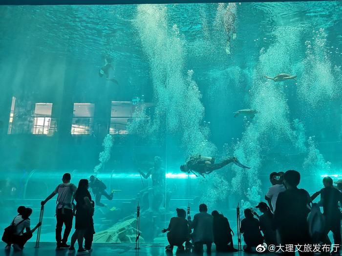 水族館投資大概多少？：開個水族館需要多少費用 水族館投資大概多少？：開個水族館需要多少費用 水族館百科（水族館加盟） 第1張