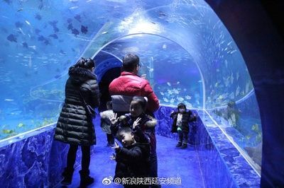 水族館投資大概多少？：開個水族館需要多少費用 水族館投資大概多少？：開個水族館需要多少費用 水族館百科（水族館加盟） 第3張