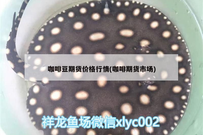 咖啡豆期貨價格行情(咖啡期貨市場) 咖啡豆期貨價格行情(咖啡期貨市場) 馬來西亞咖啡