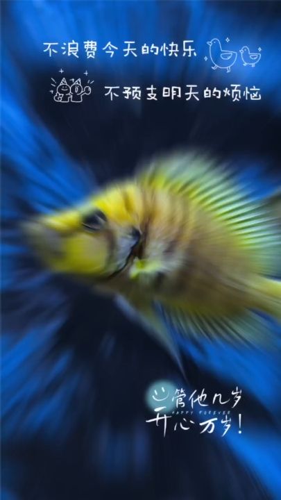 江湖險惡，關燈睡覺