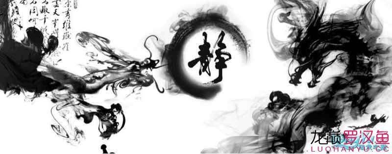 魚子醬的魚缸背景圖再沒有原圖的情況下能不能拿去廣告店噴繪？