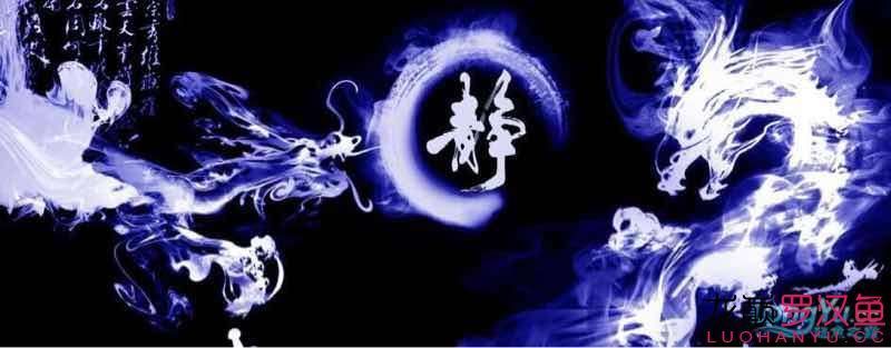 魚子醬的魚缸背景圖再沒有原圖的情況下能不能拿去廣告店噴繪？