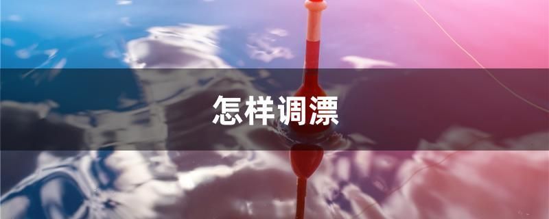怎樣調漂 怎樣調漂 元寶鳳凰魚百科