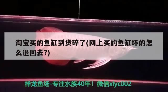 淘寶買的魚(yú)缸到貨碎了(網(wǎng)上買的魚(yú)缸壞的怎么退回去?)