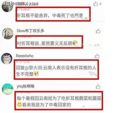 魚缸高端品牌（魚缸高端品牌排行榜）