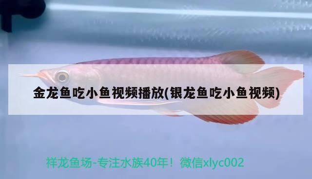 伊罕快接漏水(伊罕進出水怎么接) 伊罕水族 第3張 伊罕快接漏水(伊罕進出水怎么接) 伊罕快接漏水(伊罕進出水怎么接) 伊罕水族 第3張