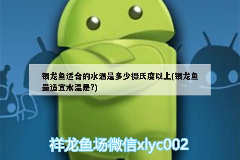 銀龍魚適合的水溫是多少攝氏度以上(銀龍魚最適宜水溫是?) 銀龍魚適合的水溫是多少攝氏度以上(銀龍魚最適宜水溫是?) 銀龍魚百科