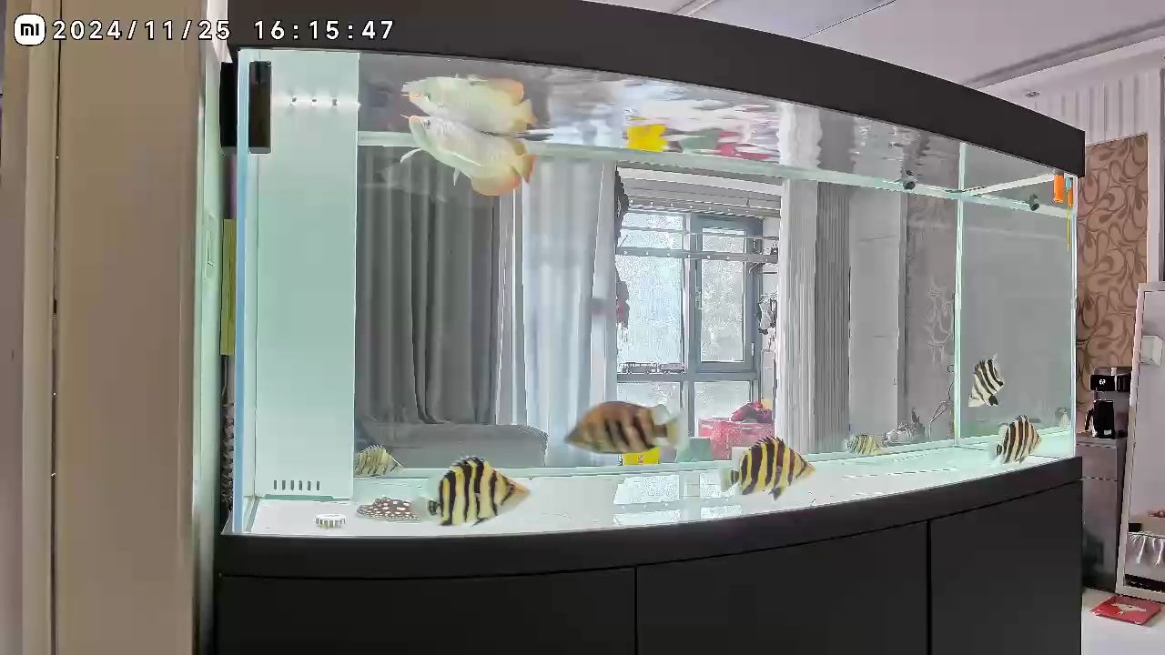 這才是空氣缸該有的樣子
