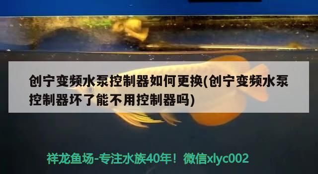 魚缸用增氧泵價格是多少:魚缸增氧機-xtrac增氧機-xtrac增氧機 創(chuàng)寧變頻水泵控制器如何更換(創(chuàng)寧變頻水泵控制器壞了能不用控制器嗎) 創(chuàng)寧水族 創(chuàng)寧變頻水泵控制器如何更換(創(chuàng)寧變頻水泵控制器壞了能不用控制器嗎) 創(chuàng)寧變頻水泵控制器如何更換(創(chuàng)寧變頻水泵控制器壞了能不用控制器嗎) 創(chuàng)寧水族