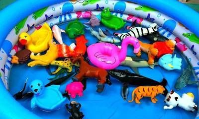 水族館作文100字：水族館親子活動安排,水族館親子活動安排介紹 水族館作文100字：水族館親子活動安排,水族館親子活動安排介紹 水族館百科（水族館加盟） 第1張