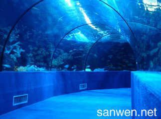 水族館作文100字：水族館親子活動安排,水族館親子活動安排介紹 水族館作文100字：水族館親子活動安排,水族館親子活動安排介紹 水族館百科（水族館加盟） 第3張