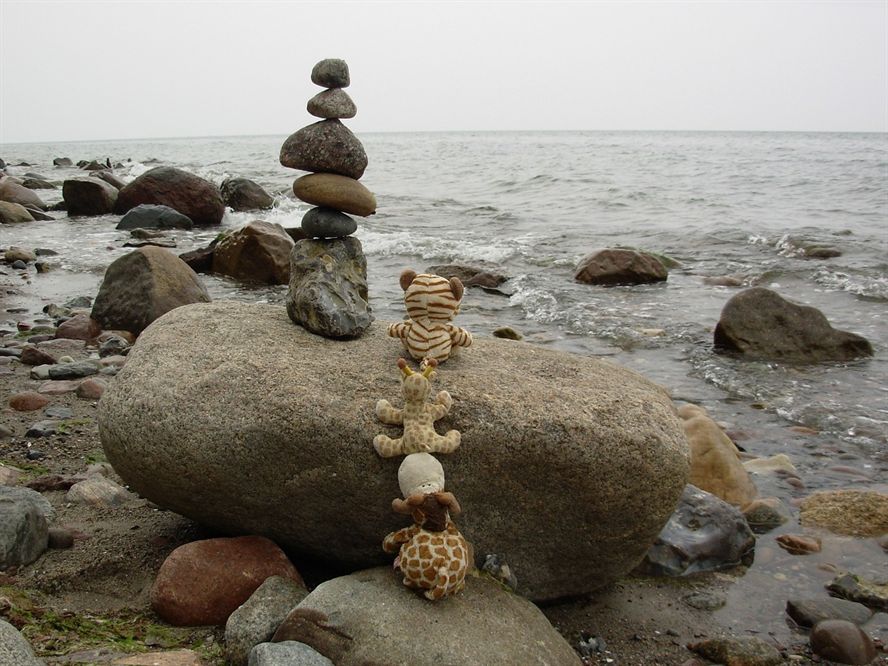 魚(yú)缸里面能不能放石頭（魚(yú)缸里面可以放石頭嗎）