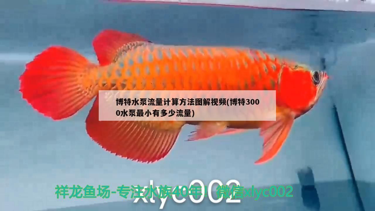 博特水泵流量計算方法圖解視頻(博特3000水泵最小有多少流量)