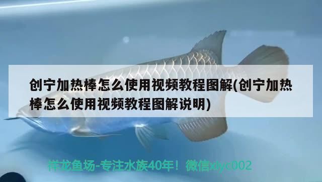 創寧加熱棒怎么使用視頻教程圖解(創寧加熱棒怎么使用視頻教程圖解說明)