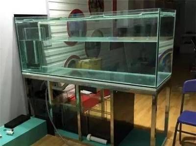 1.2米魚缸用多厚的玻璃膠合適：1.2米魚缸玻璃膠怎么選擇？