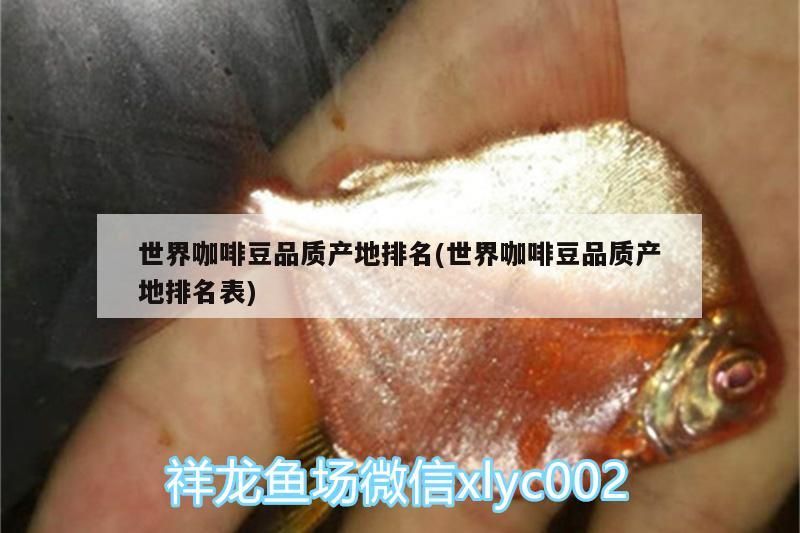 世界咖啡豆品質產地排名(世界咖啡豆品質產地排名表)