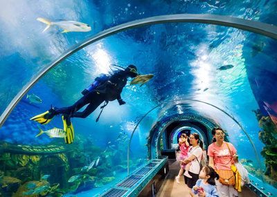 水族館里有什么東西（水族館是一個展示多種海洋生物的場所） 水族館里有什么東西（水族館是一個展示多種海洋生物的場所） 水族館百科（水族館加盟） 第3張