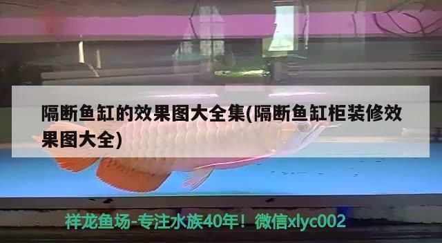 隔斷魚缸的效果圖大全集(隔斷魚缸柜裝修效果圖大全)
