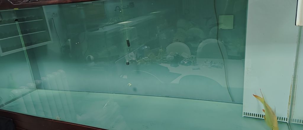 從新養水，從新開始。