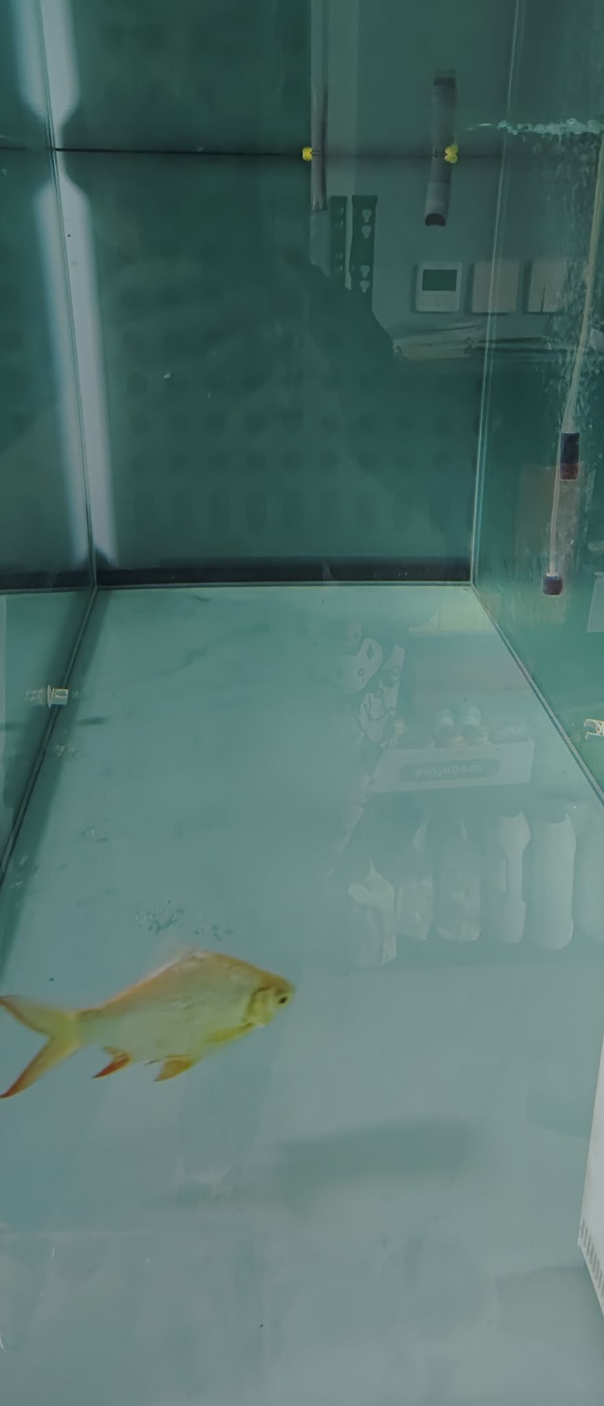從新養水，從新開始。