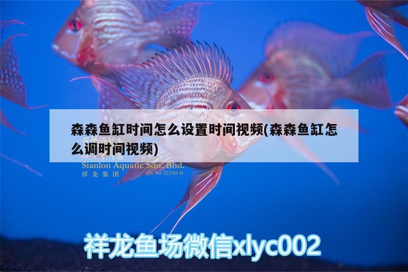 森森魚缸時(shí)間怎么設(shè)置時(shí)間視頻(森森魚缸怎么調(diào)時(shí)間視頻)