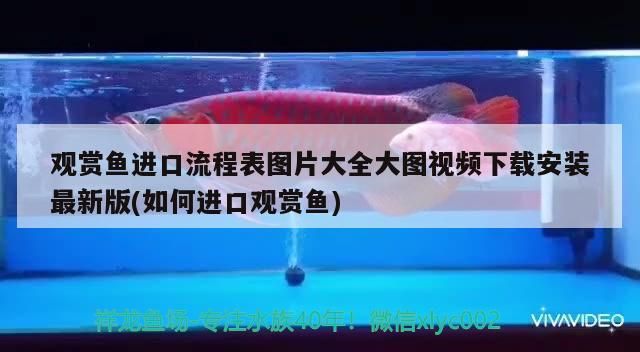 阿克蘇市馬桂英觀賞魚經銷店