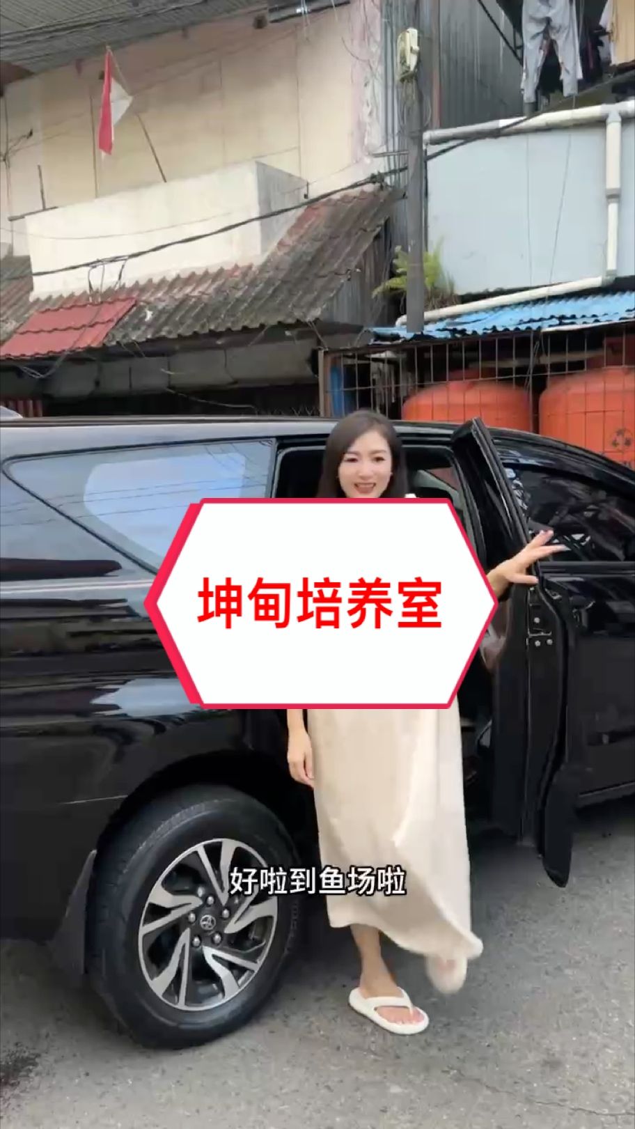 萬隆天王：印尼????坤甸培養室?? #萬隆天王紅龍 #龍魚 #紅龍