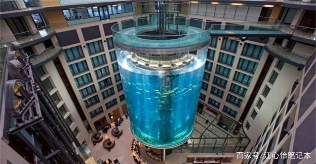 水族館一般多少錢一平方米（水族館的建設和運營成本） 水族館一般多少錢一平方米（水族館的建設和運營成本） 水族館百科（水族館加盟） 第2張