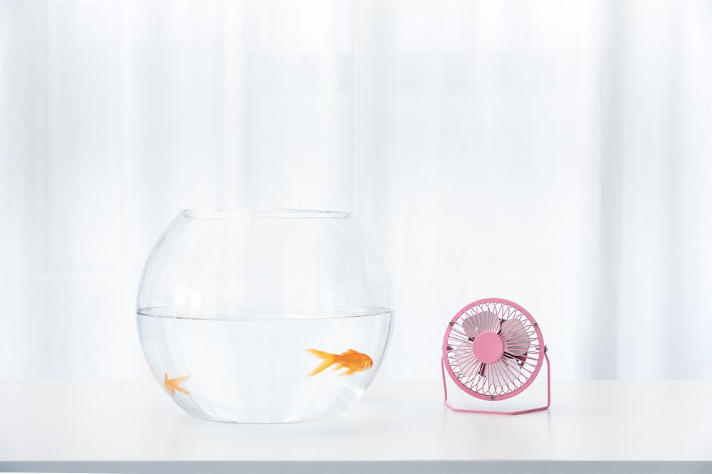吉印魚缸燈怎么樣好用嗎（吉印魚缸燈怎么樣好用嗎視頻） 吉印魚缸燈怎么樣好用嗎（吉印魚缸燈怎么樣好用嗎視頻） 吉印水族