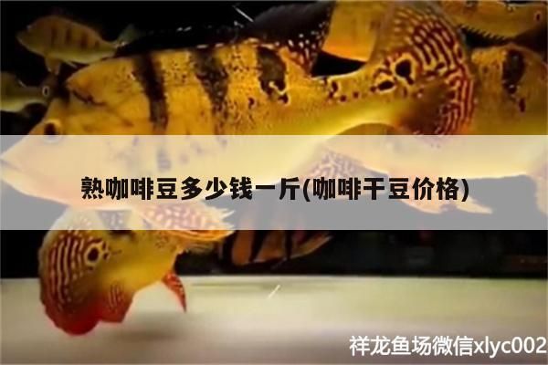 什么魚能和龍魚、虎魚混養(龍魚能和虎魚混養嗎) 熟咖啡豆多少錢一斤(咖啡干豆價格) 馬來西亞咖啡 熟咖啡豆多少錢一斤(咖啡干豆價格) 熟咖啡豆多少錢一斤(咖啡干豆價格) 馬來西亞咖啡
