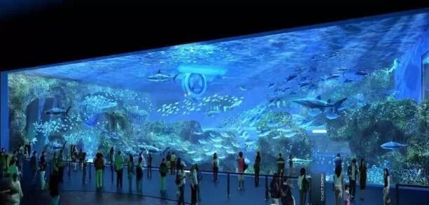 水族館盈利模式有哪些：水族館主題活動策劃指南：水族館的盈利模式多樣化