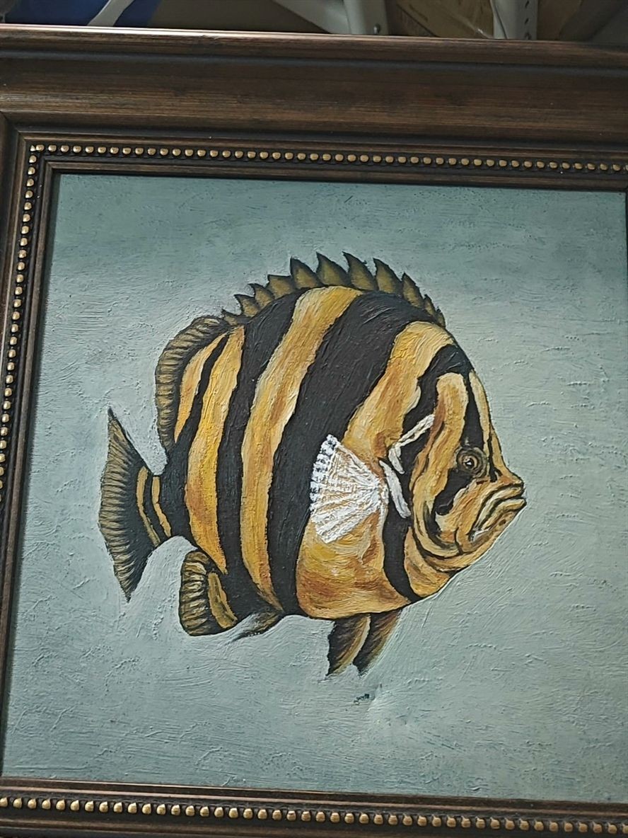 有朋友喜歡不 有朋友喜歡不 龍魚論壇