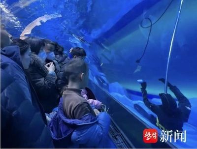 水族館有什么工作：動物醫生的疾病治療方法介紹水族館工作人員的疾病治療方法介紹 水族館有什么工作：動物醫生的疾病治療方法介紹水族館工作人員的疾病治療方法介紹 水族館百科（水族館加盟） 第1張
