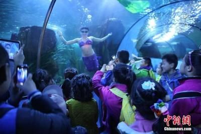 水族館有什么工作：動物醫生的疾病治療方法介紹水族館工作人員的疾病治療方法介紹 水族館有什么工作：動物醫生的疾病治療方法介紹水族館工作人員的疾病治療方法介紹 水族館百科（水族館加盟） 第3張