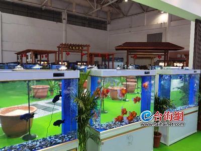 2020觀賞魚展會：2020第二屆寧波國際寵物產業博覽會