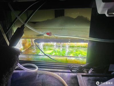 博特魚(yú)缸過(guò)濾怎么樣好用嗎知乎：博特魚(yú)缸過(guò)濾怎么樣好用嗎