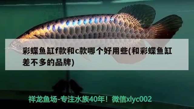 金龍魚用馬印增艷燈會發色嗎（紅龍魚用馬印神燈好還是nec）