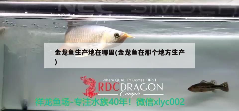 龍口黃城哪里有賣魚缸的地方啊多少錢（明清時期裝修風格） 龍口黃城哪里有賣魚缸的地方啊多少錢（明清時期裝修風格） 元寶鳳凰魚百科 第2張