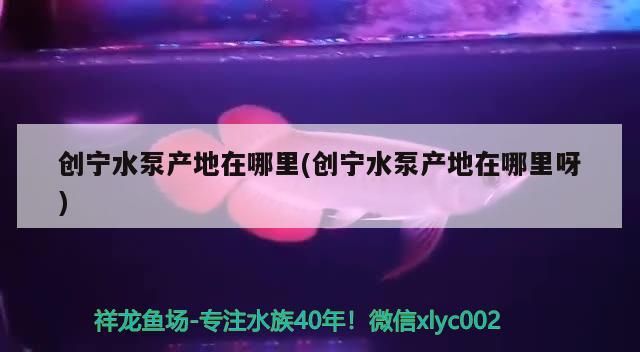 創(chuàng)寧水泵產(chǎn)地在哪里(創(chuàng)寧水泵產(chǎn)地在哪里呀) 創(chuàng)寧水泵產(chǎn)地在哪里(創(chuàng)寧水泵產(chǎn)地在哪里呀) 創(chuàng)寧水族