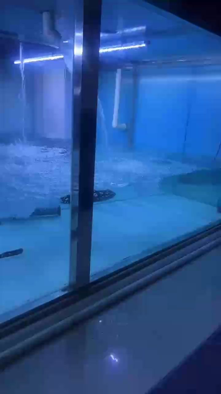 換水不能大意