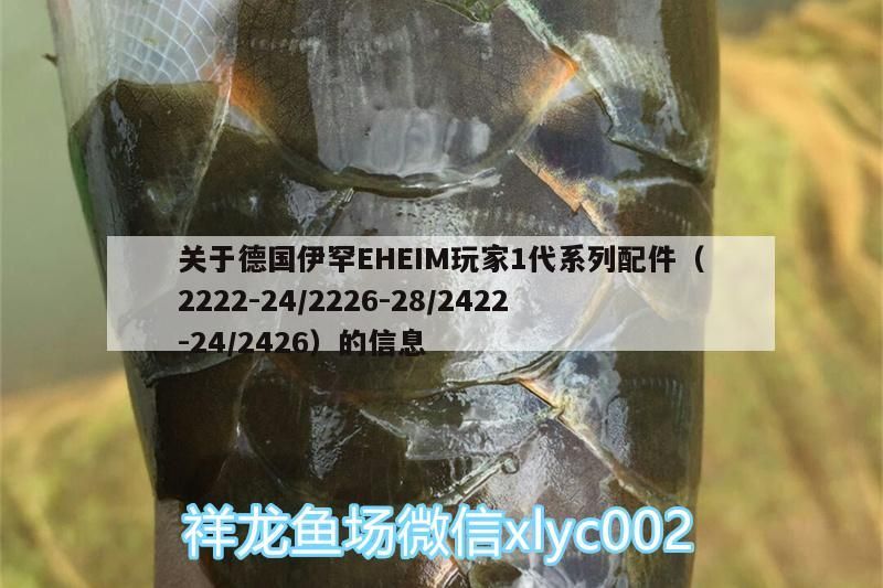 關于德國伊罕EHEIM玩家1代系列配件（2222-24/2226-28/2422-24/2426）的信息 關于德國伊罕EHEIM玩家1代系列配件（2222-24/2226-28/2422-24/2426）的信息 伊罕水族