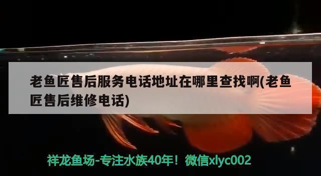 老魚匠售后服務電話地址在哪里查找啊(老魚匠售后維修電話)