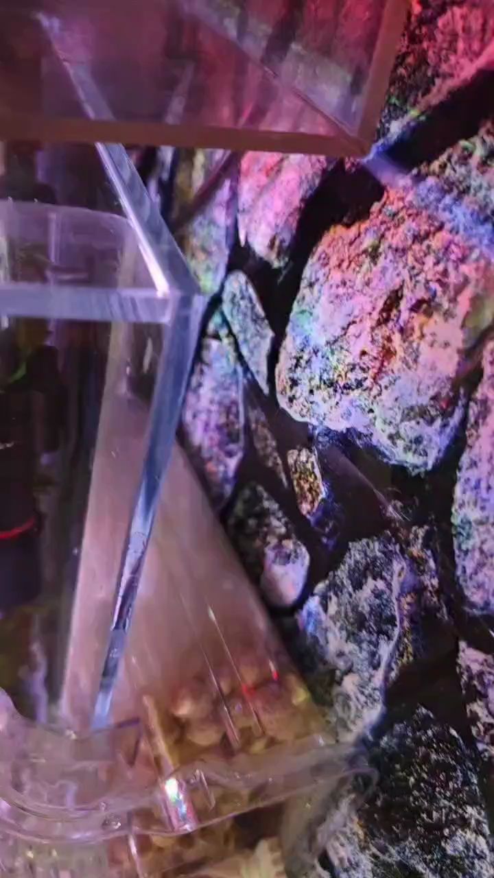 魚缸過濾器選購指南:自制魚缸過濾器魚缸上置過濾器對于養(yǎng)魚愛好者的必備知識 挺好 龍魚論壇 挺好 挺好 龍魚論壇