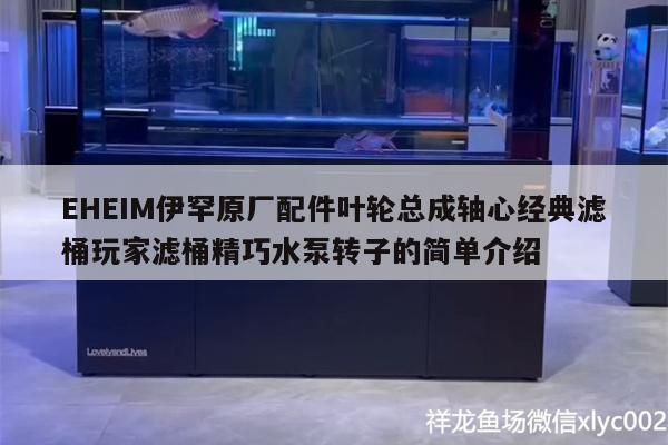 魚缸 EHEIM伊罕原廠配件葉輪總成軸心經典濾桶玩家濾桶精巧水泵轉子的簡單介紹 伊罕水族 EHEIM伊罕原廠配件葉輪總成軸心經典濾桶玩家濾桶精巧水泵轉子的簡單介紹 EHEIM伊罕原廠配件葉輪總成軸心經典濾桶玩家濾桶精巧水泵轉子的簡單介紹 伊罕水族