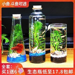 創寧和森森氧氣泵哪個好（創寧和森森氧氣泵哪個好一點）