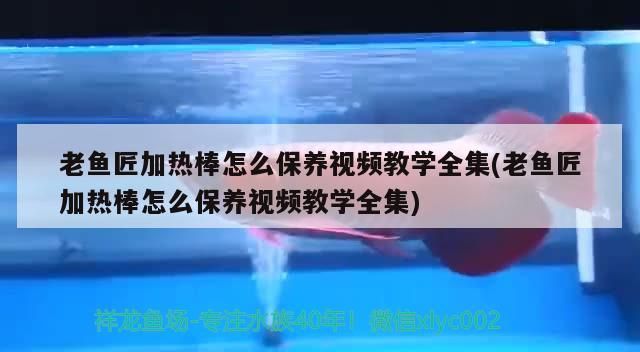 老魚匠加熱棒怎么保養視頻教學全集(老魚匠加熱棒怎么保養視頻教學全集) 老魚匠加熱棒怎么保養視頻教學全集(老魚匠加熱棒怎么保養視頻教學全集) 老魚匠