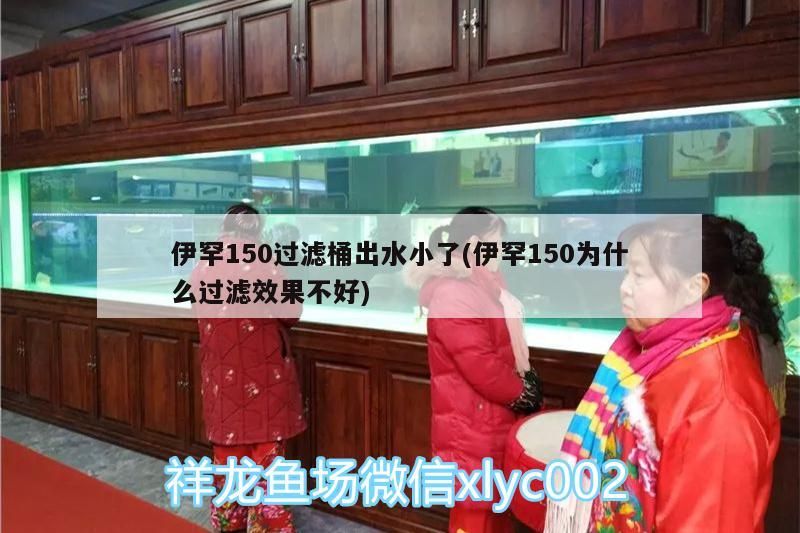 伊罕150過濾桶出水小了(伊罕150為什么過濾效果不好) 伊罕150過濾桶出水小了(伊罕150為什么過濾效果不好) 伊罕水族