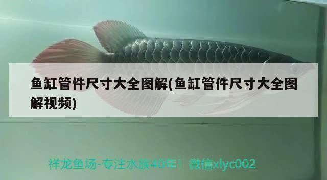魚缸管件尺寸大全圖解(魚缸管件尺寸大全圖解視頻)