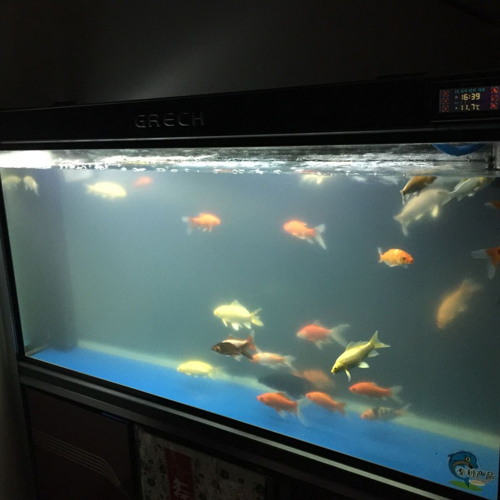 grech魚缸安裝使用方法：grech魚缸使用技巧grech魚缸使用說明