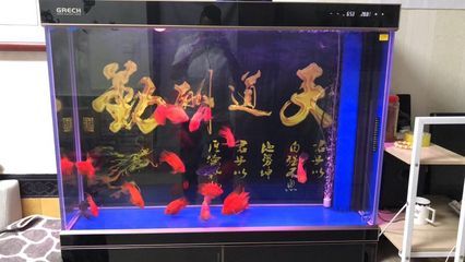 grech魚缸安裝使用方法：grech魚缸使用技巧grech魚缸使用說明